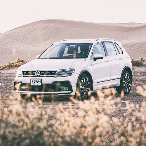 portfolio item image