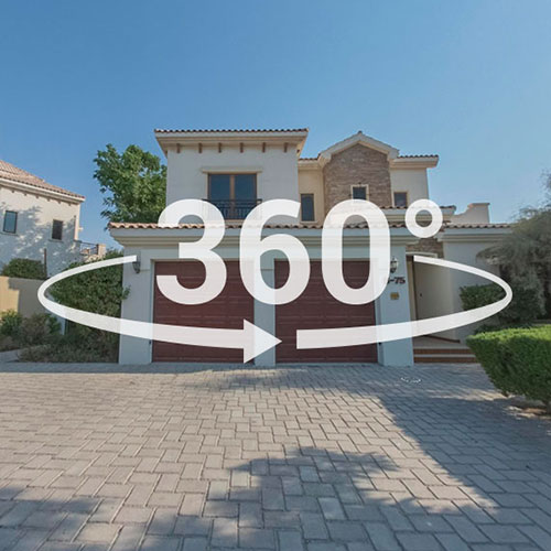 portfolio item image